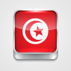 Flag of Tunisia N17