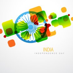 creative indian flag N21