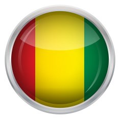 Glossy Button - Flag of Guinea N4