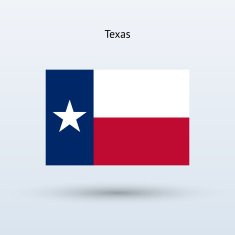 State of Texas Flag N4