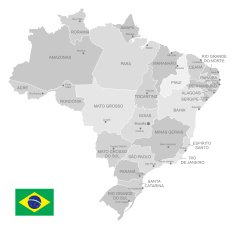 Detailed Vector Map of Brazil