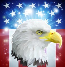 America eagle flag concept