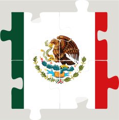Mexico Flag in puzzle N5