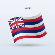 State of Hawaii Flag N2