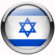 israel flag gel metal button