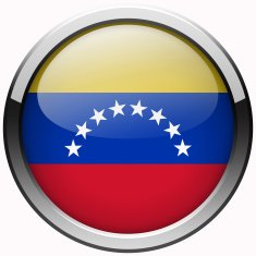 venezuela flag gel metal button