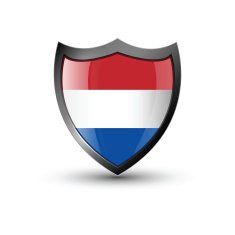 Shield Flag N10