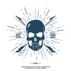Skull with Crossed Arrows isolated on white Vector