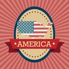 USA Icons N17