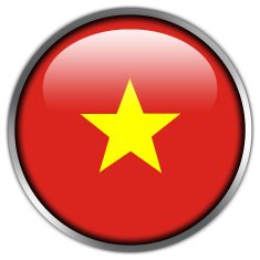Vietnam Flag glossy button