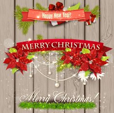 Set of Ribbons Labels Tags "Merry Christmas N3