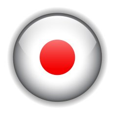 Japan flag button vector