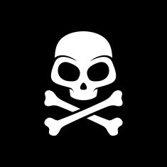 Vector skull on black background N2