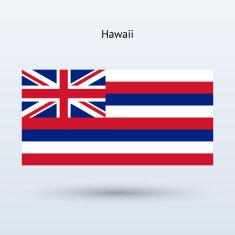 State of Hawaii Flag N3