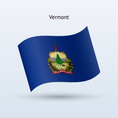 State of Vermont Flag N3