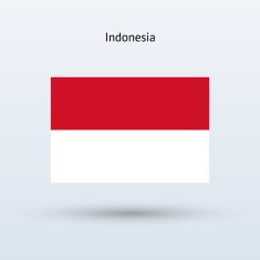 Indonesia Flag N27