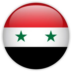 Syria Flag Glossy Button N7