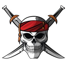 skull pirate N2