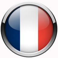 france flag gel metal button