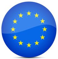 European Union Flag N48