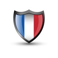 Shield Flag N14