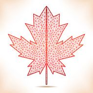 Geometric red leaf