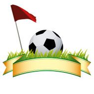 Sports N13