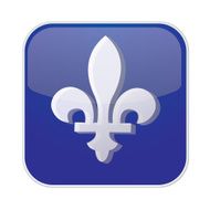 Fleur-de-lys button