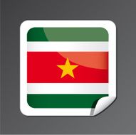 Suriname flag button N2