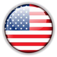 USA flag button N3