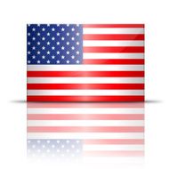 American Flag N221