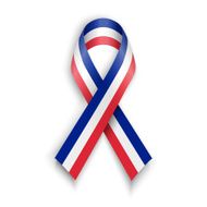 France flag background vector
