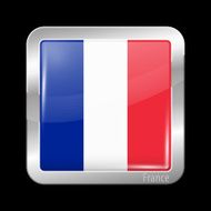 Flag of France Metal Icons