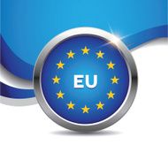 EU flag button N2