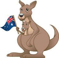 Kangaroos N3