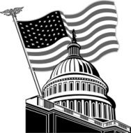 U S Capitol Flag