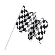 Checkered Flag N69