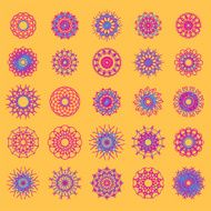 Flower N31