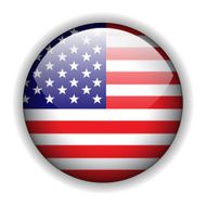 North American flag button vector