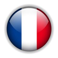 France flag button vector
