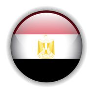 Egypt flag button vector N2