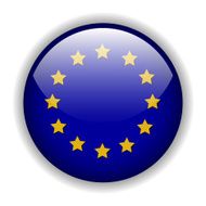 Europe flag button vector