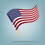 American Flag Vector illustration N23