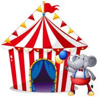 elephant in front of tent at the carnival