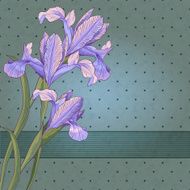 blueflag N2