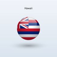 State of Hawaii Flag N4