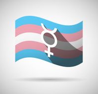 Transgender flag N8