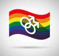 Gay Pride Flag N5