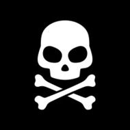 Vector skull on black background N3