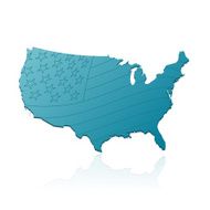 USA map with flag N2